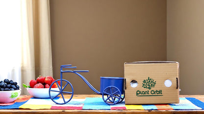 Blue Cycle Planter stand 1012 A