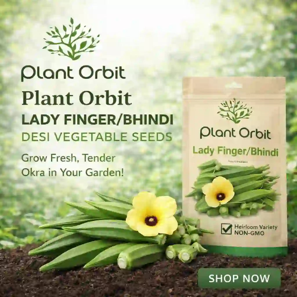 LADY FINGER / BHINDI HYBRID SEEDS (40 seeds)