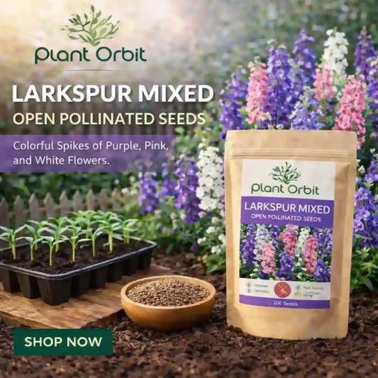 Package of Plant Orbit Larkspur Mixed seeds with garden scene in the background