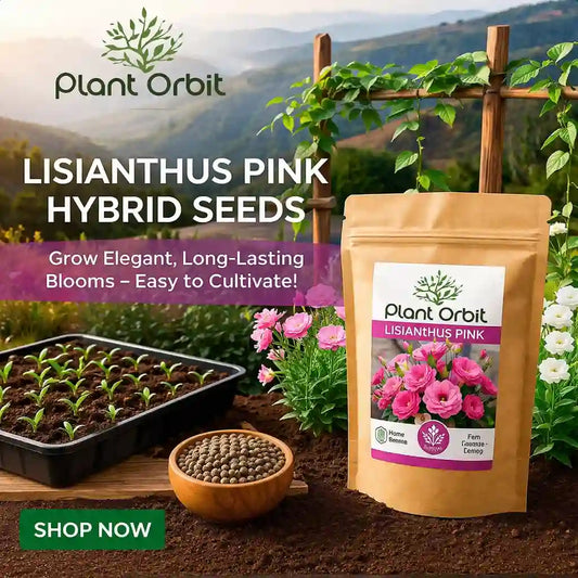 Plant Orbit Lisianthus Pink Hybrid Seeds packaging with gardening elements and scenic background