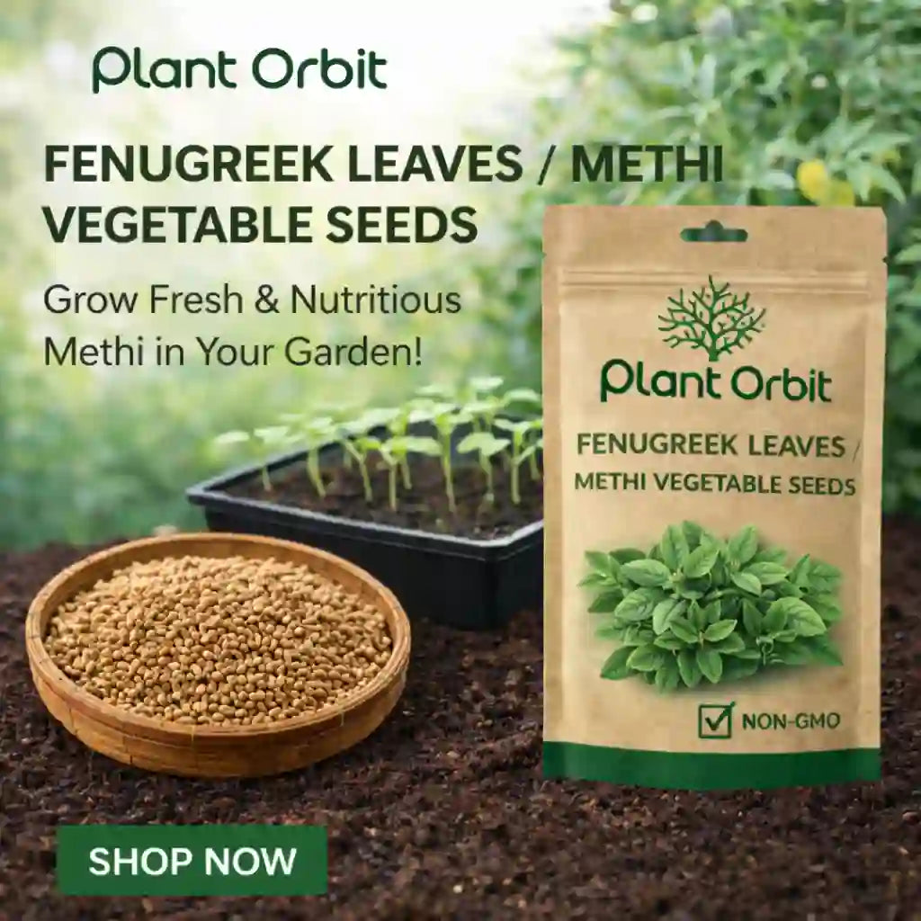 Fenugreek leaves vegetable seeds packaging with seeds in a bowl and text promoting Plant Orbit brand.