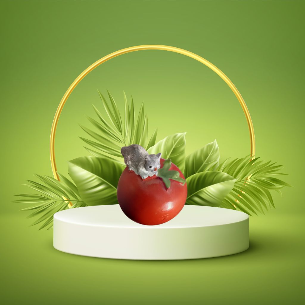 Mini Cat With Tomato Miniature (M-252)