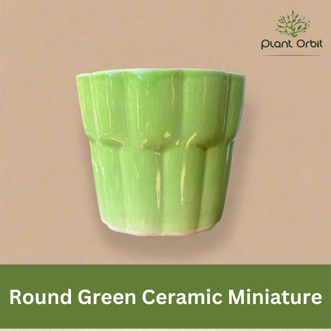 Round Green ceramic planter