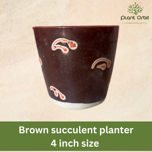Brown succulent ceramic planter