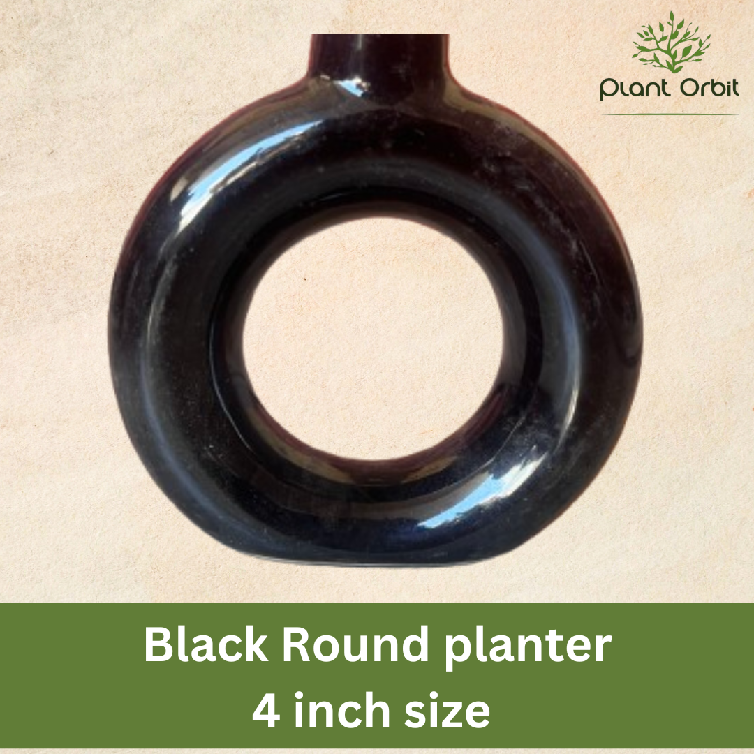 Black round planter