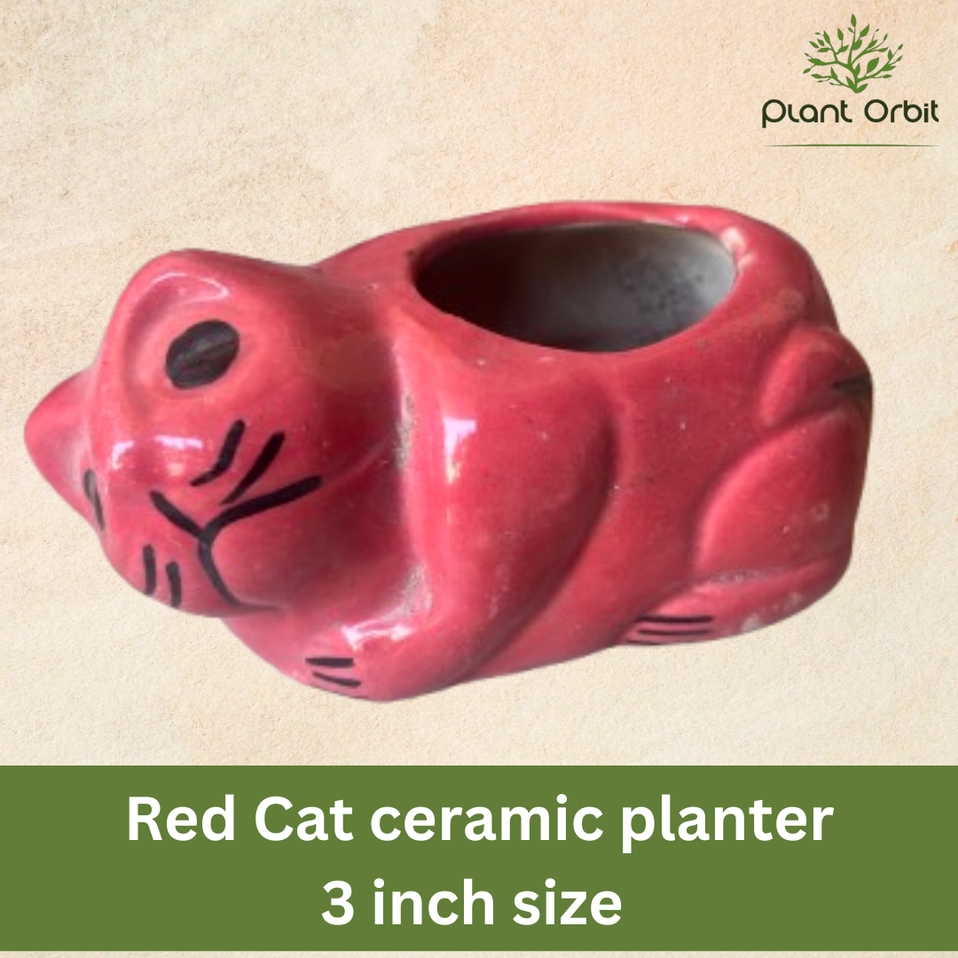 Red cat ceramic planter