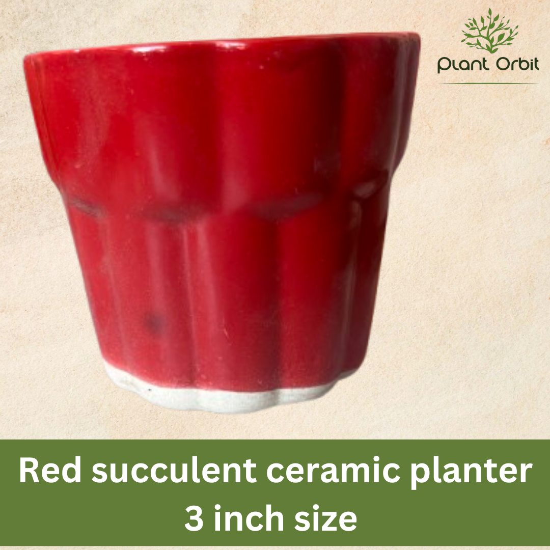 Cup pot red