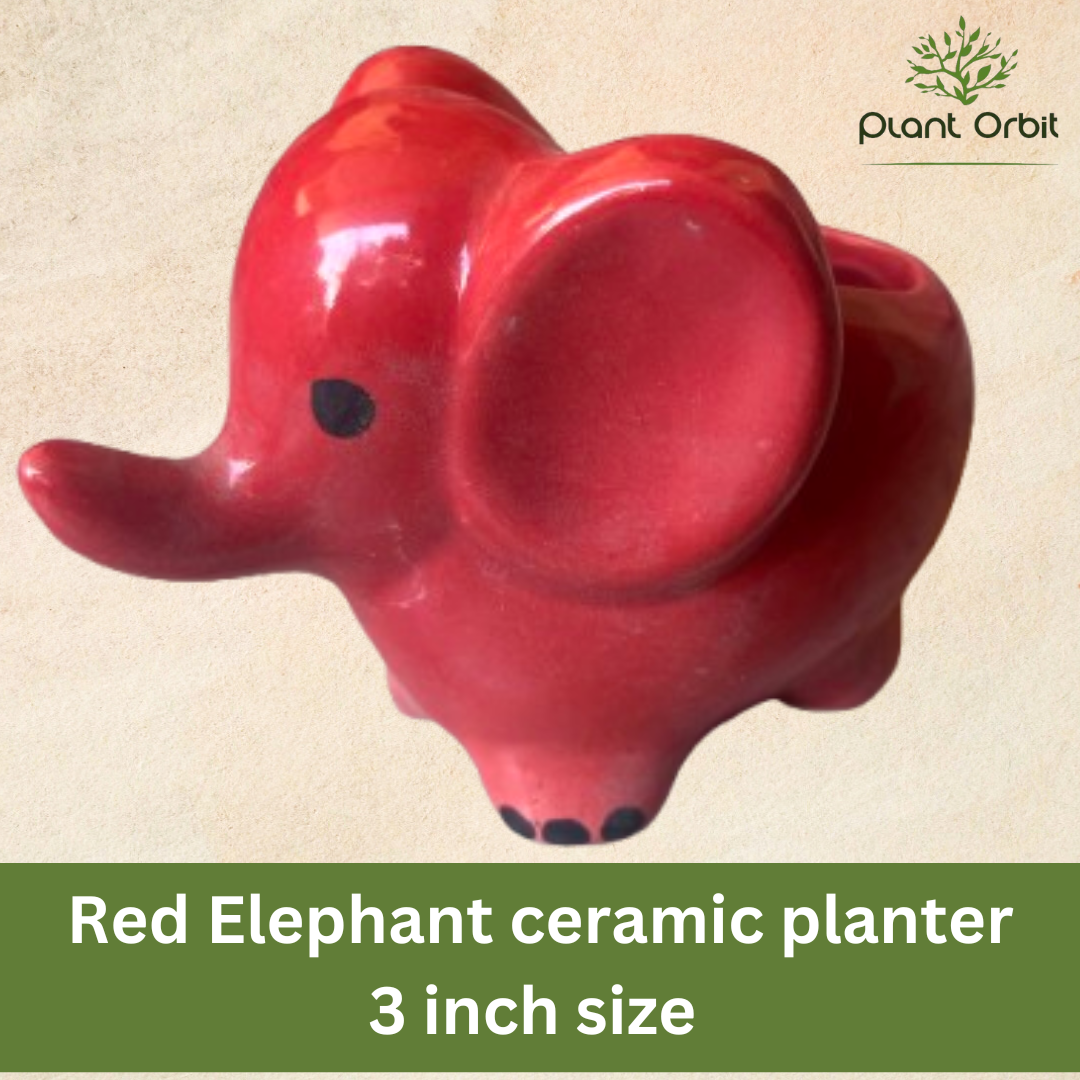 Red elephant ceramic Planter