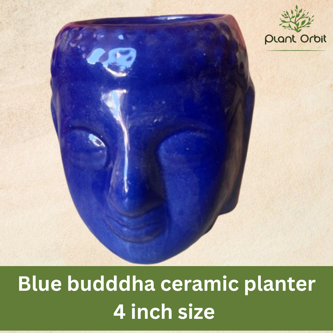 Blue buddha ceramic planter