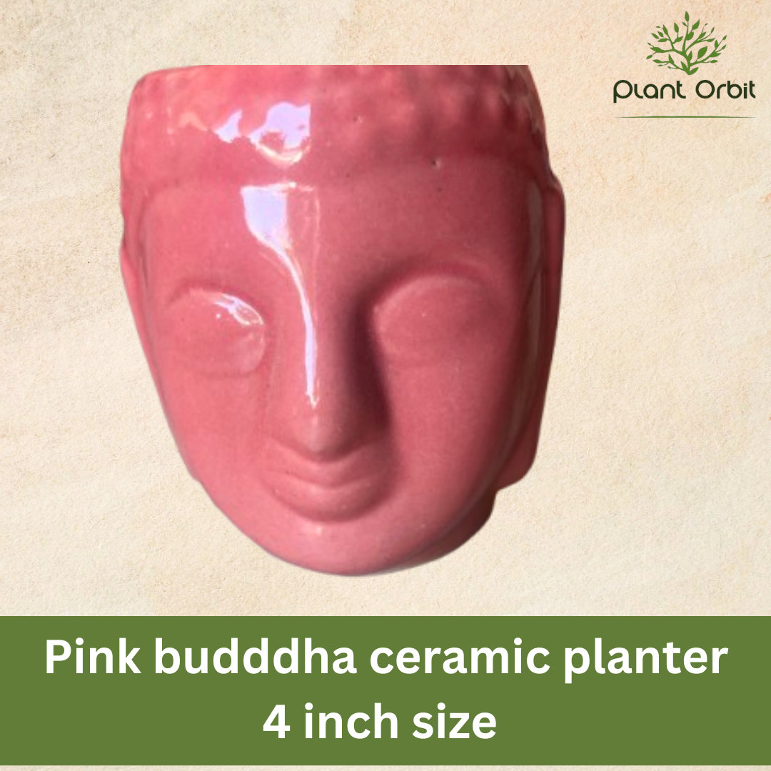 Pink buddha ceramic planter