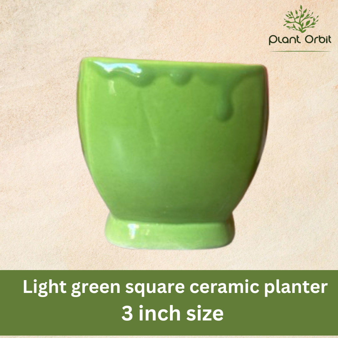 Green cup pot