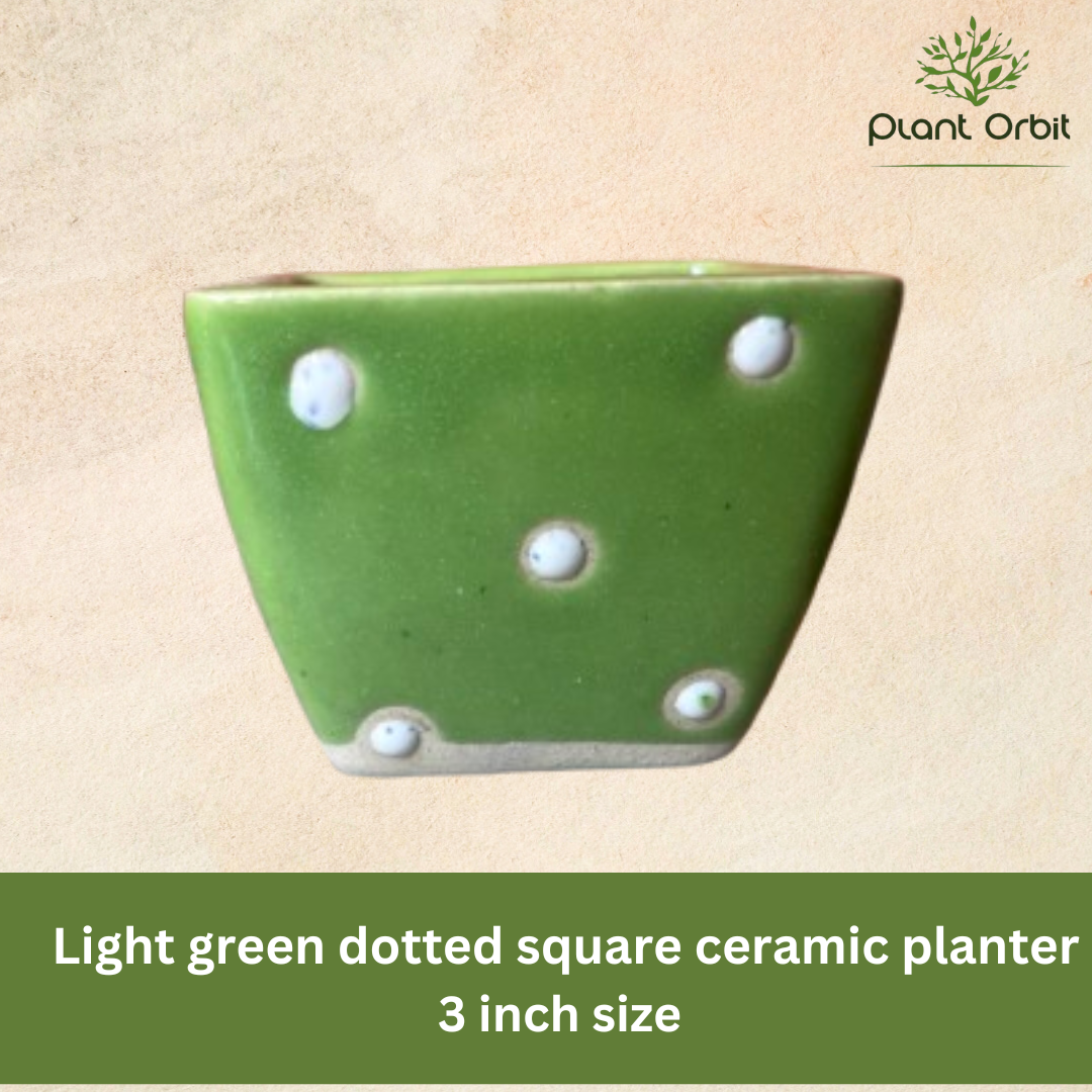 Green dot cup pot