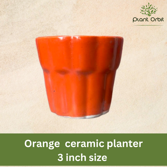 Orange cup pot