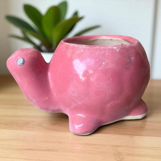 pink turtle pot