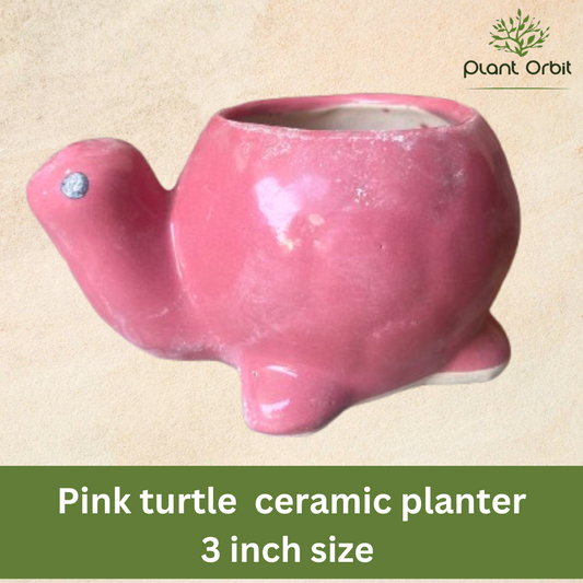 pink turtle pot