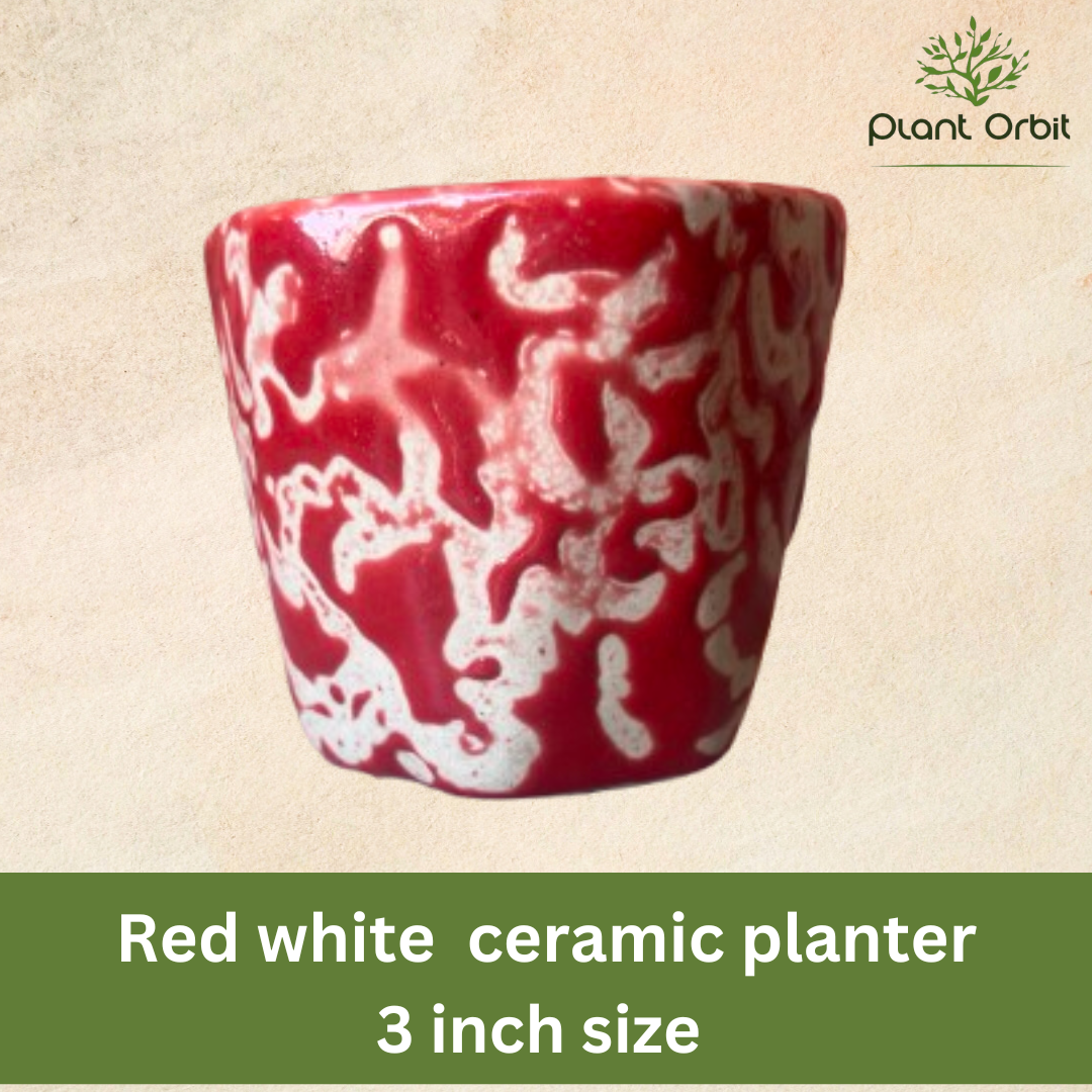 Red shade cup pot