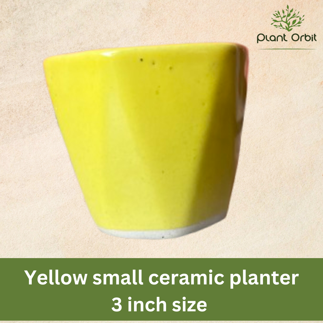 Sqaure yellow pot