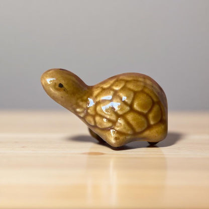 Brown turtoise