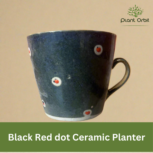 Black dot cup small pot