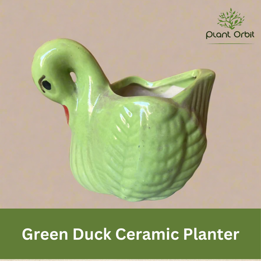 Duck green Ceramic planter
