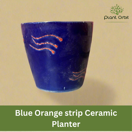Blue Orange Strip Ceramic Cup Pot