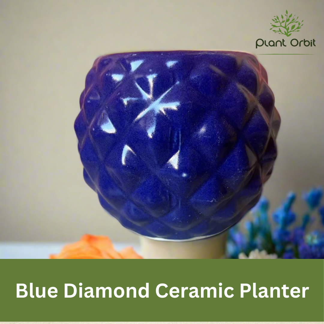 Round blue cup pot