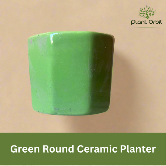 Square green cup