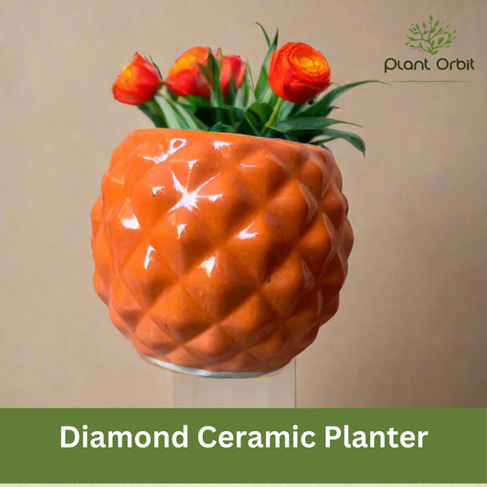 Round orange Diamond pot