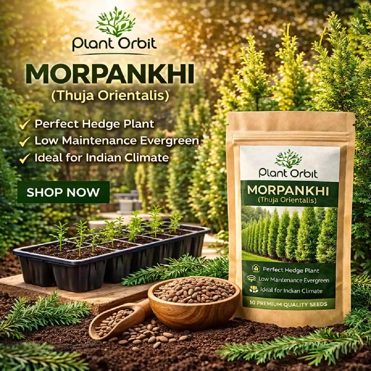 Plant Orbit Morpankhi seed package with gardening materials and text about the plant's benefits.