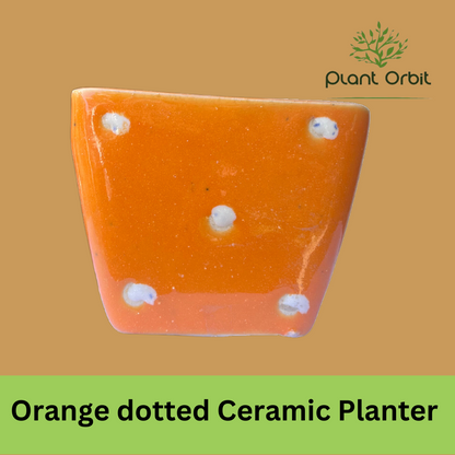 Orange Dotted Ceramic Planter