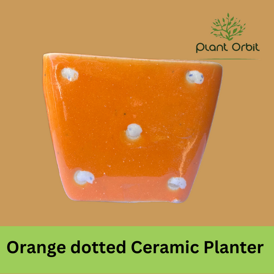 Orange Dotted Ceramic Planter