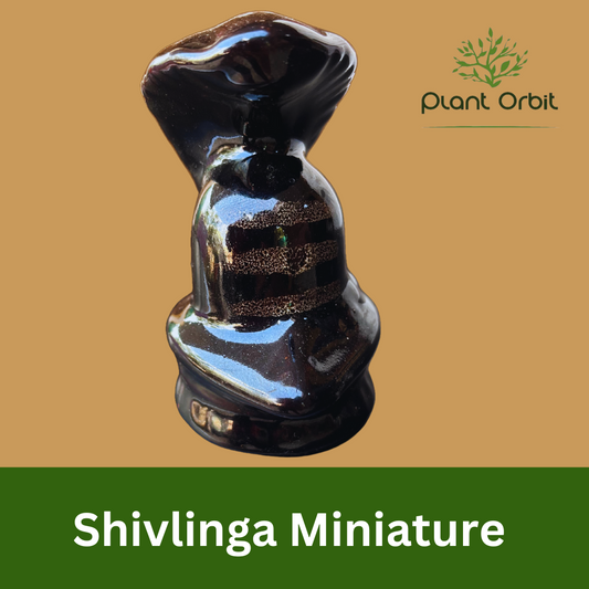 Shivling Miniature