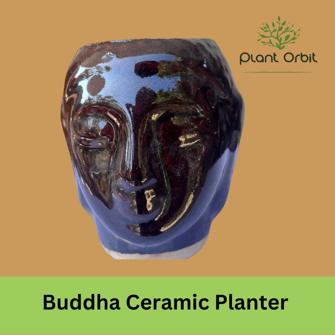 Brown Buddha Ceramic Planter