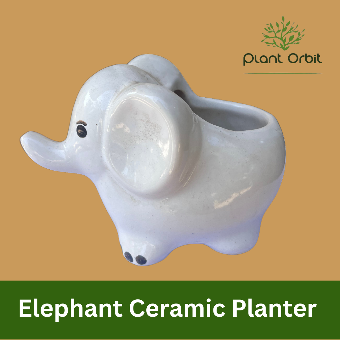 Elephant Ceramic Planter White