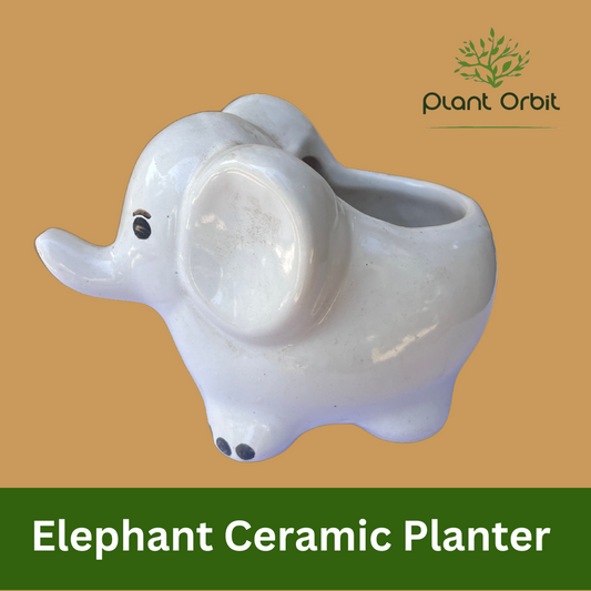 Elephant Ceramic Planter White