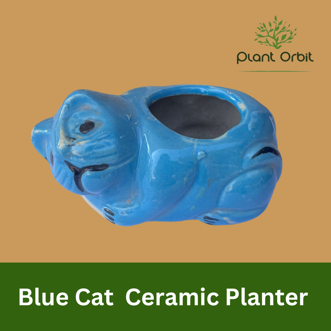 Blue Cat Ceramic Planter