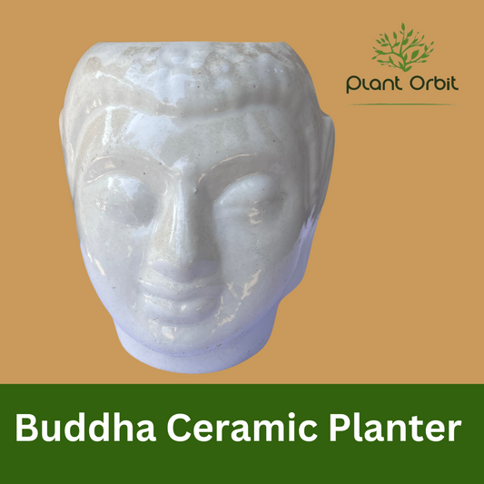 Buddha ceramic Planter