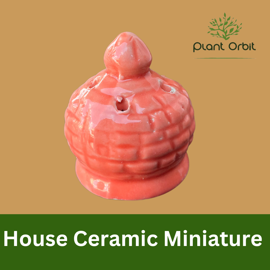 House Ceramic Miniature