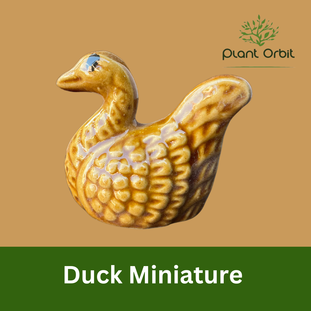 Duck Miniature