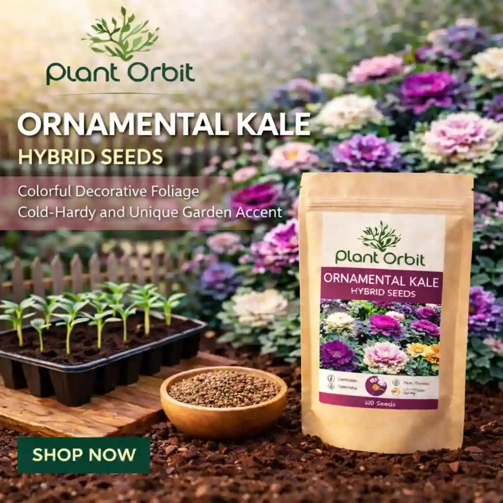 Ornamental kale hybrid seeds packaging with plants and flowers in the background