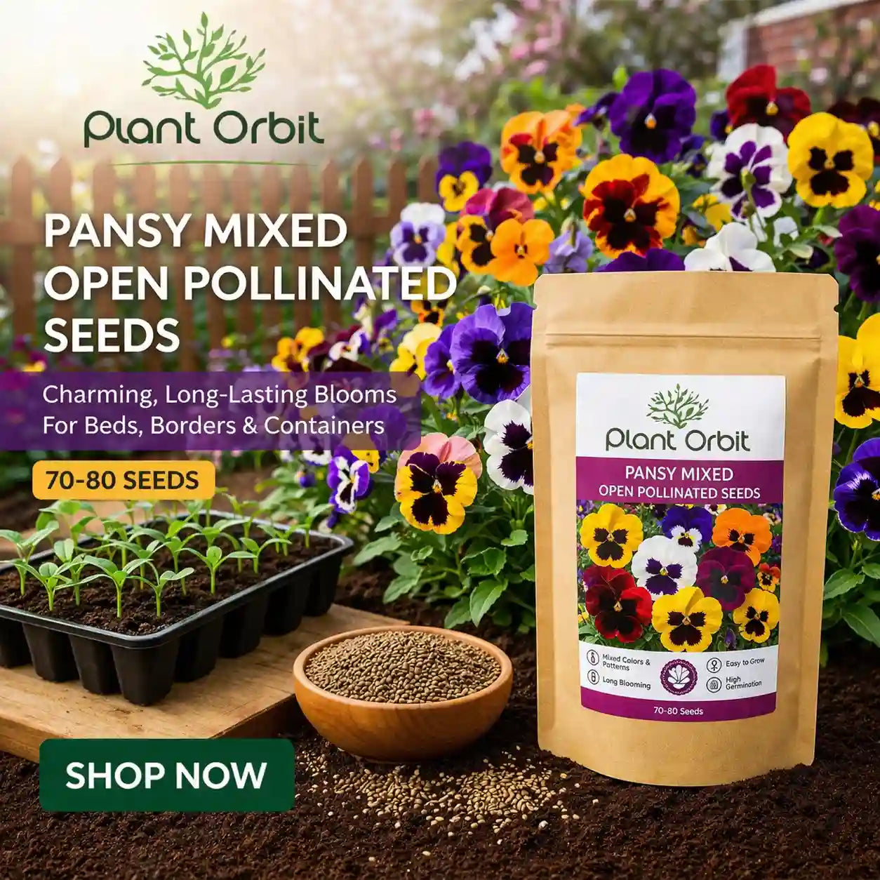 PANSY MIXED OPEN POLLINATED SEEDS (70-80 seeds)
