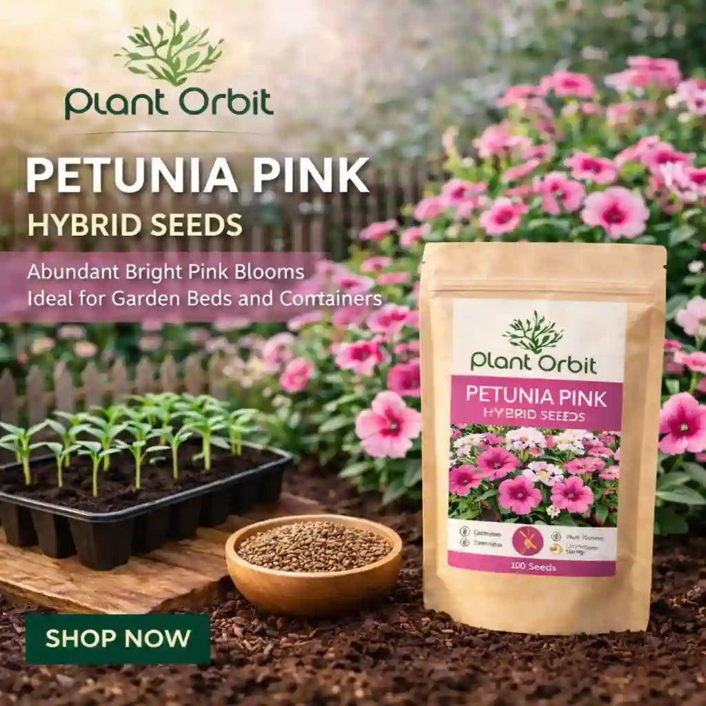 Plant Orbit Petunia Pink hybrid seeds packaging with seeds and seedlings in a garden setting.
