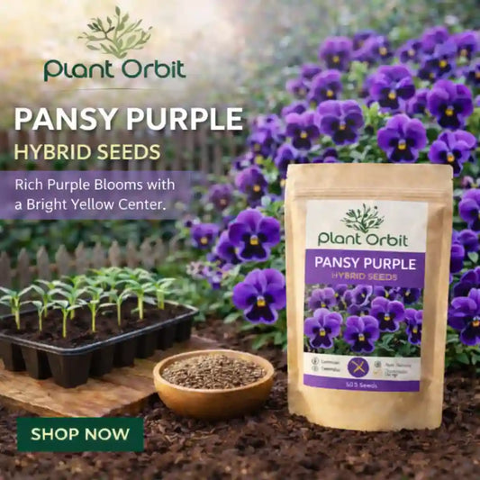 Pansy purple hybrid seeds packaging with growing plants and seeds on a garden background.