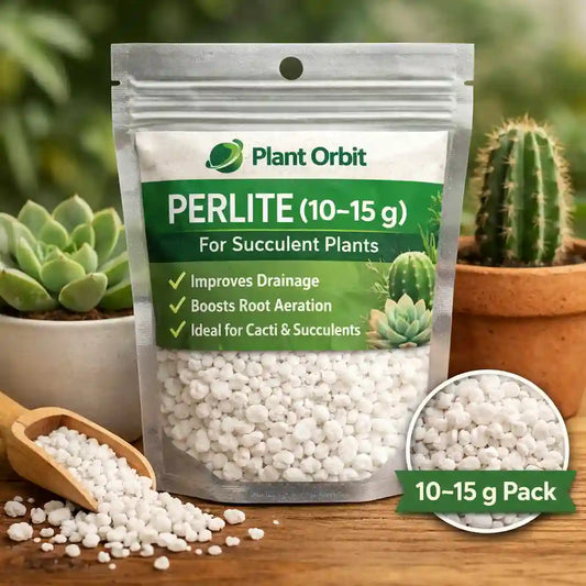 PERLITE (10 -15 g ) for succulent plants