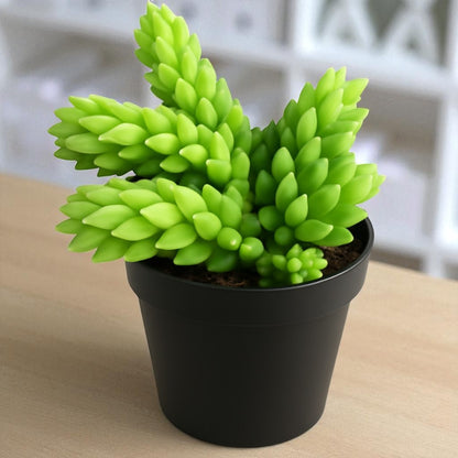 artificial donkey tail succulent Buy Donkey Tail Succulents Plant Online In India