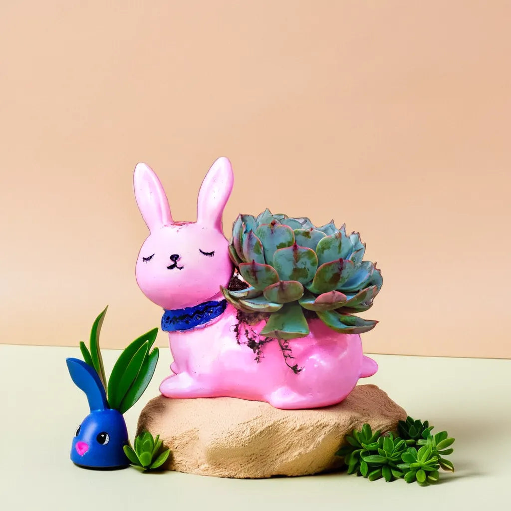 Adorable pink cat-shaped planter holding a lush succulent, adding a touch of charm and playfulness to any indoor garden. Perfect for showcasing succulents or small indoor plants, this unique planter brings a pop of color and fun to your home decor. Discover more decorative succulent pots like this at Plant Orbit.