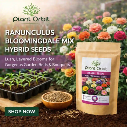 Ranunculus Bloomingdale Mix hybrid seeds
