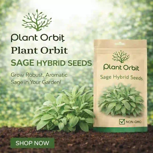 SAGE ( TEZ PATTA ) HYBRID SEEDS