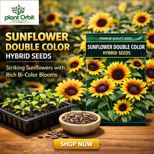 Sunflower seeds packaging with plants and sunflowers in the background, featuring 'Plant Orbit' brand.