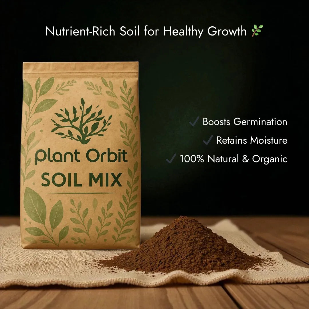 Sunflower Growing Kit (Seeds + Soil Mix + Coir Pot)